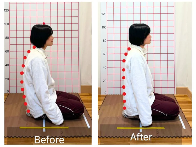 正座した状態を横から見た姿勢。背骨の並びを赤い点で示した比較